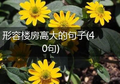 形容楼房高大的句子(40句)