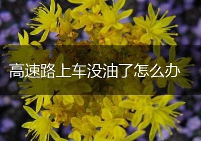 高速路上车没油了怎么办