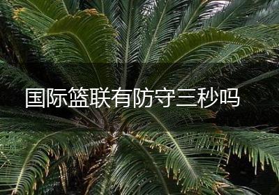 国际篮联有防守三秒吗