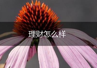 理财怎么样