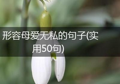 形容母爱无私的句子(实用50句)
