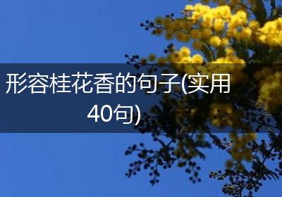 形容桂花香的句子(实用40句)