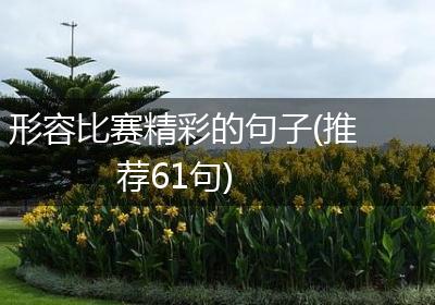 形容比赛精彩的句子(推荐61句)