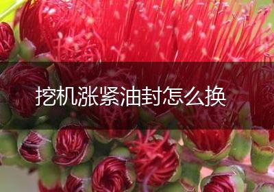 挖机涨紧油封怎么换