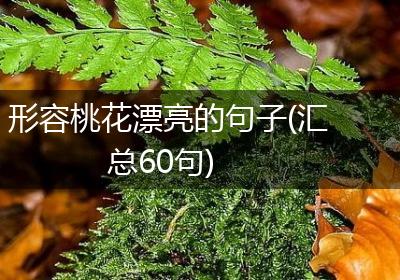 形容桃花漂亮的句子(汇总60句)