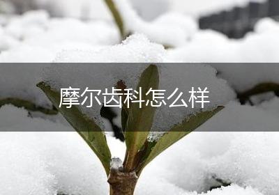 摩尔齿科怎么样