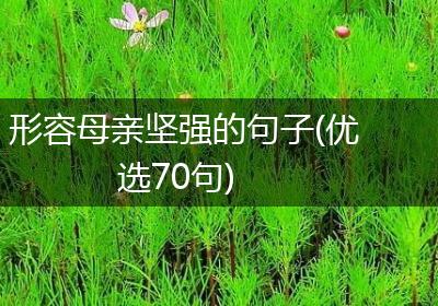 形容母亲坚强的句子(优选70句)