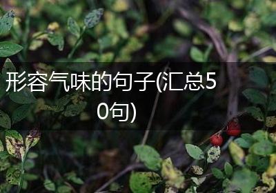 形容气味的句子(汇总50句)