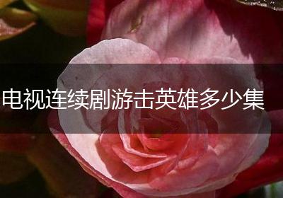 电视连续剧游击英雄多少集