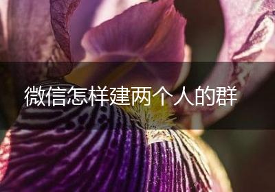 微信怎样建两个人的群