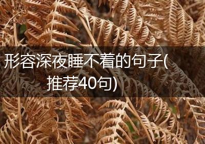 形容深夜睡不着的句子(推荐40句)