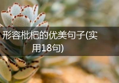 形容枇杷的优美句子(实用18句)