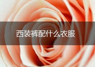 西装裤配什么衣服