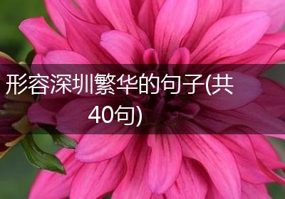 形容深圳繁华的句子(共40句)
