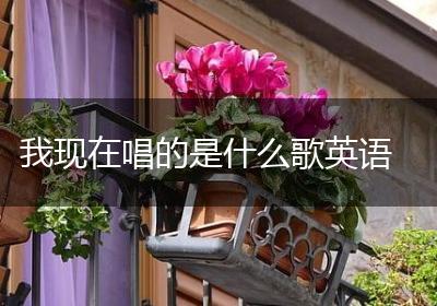 我现在唱的是什么歌英语