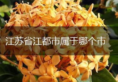 江苏省江都市属于哪个市