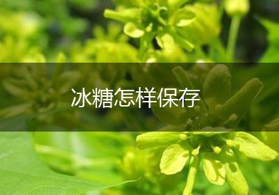 冰糖怎样保存