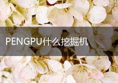 PENGPU什么挖掘机