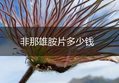 非那雄胺片多少钱