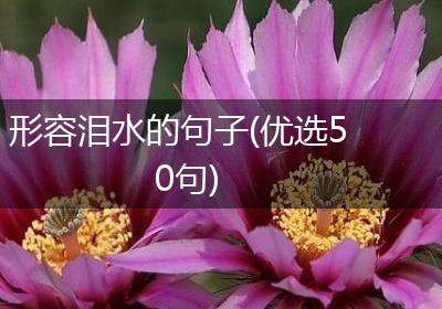 形容泪水的句子(优选50句)