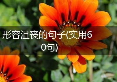 形容沮丧的句子(实用60句)