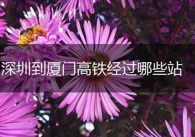 深圳到厦门高铁经过哪些站