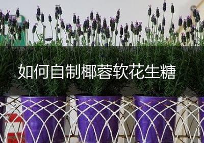 如何自制椰蓉软花生糖