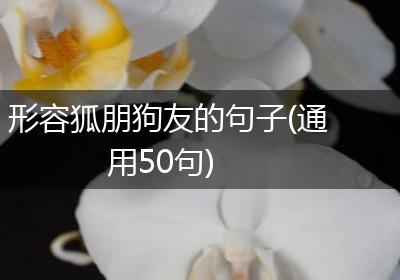 形容狐朋狗友的句子(通用50句)
