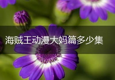 海贼王动漫大妈篇多少集