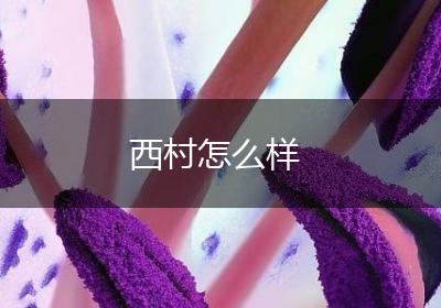 西村怎么样