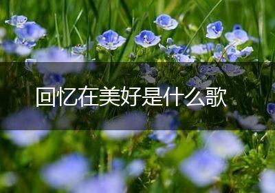 回忆在美好是什么歌