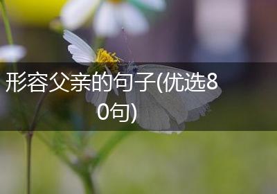 形容父亲的句子(优选80句)