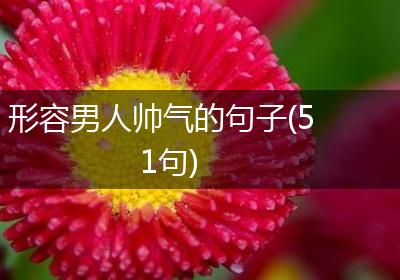 形容男人帅气的句子(51句)