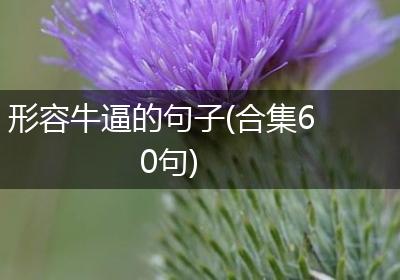 形容牛逼的句子(合集60句)