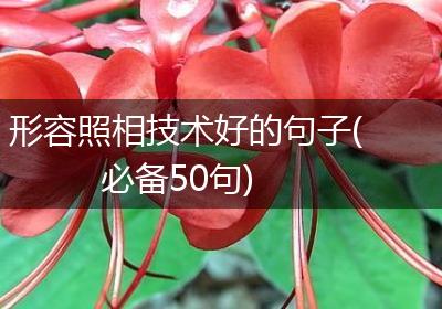 形容照相技术好的句子(必备50句)