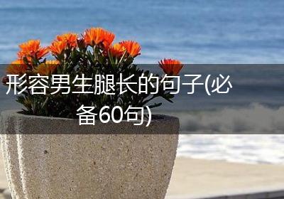 形容男生腿长的句子(必备60句)