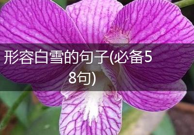 形容白雪的句子(必备58句)