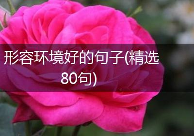 形容环境好的句子(精选80句)