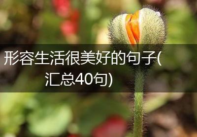 形容生活很美好的句子(汇总40句)