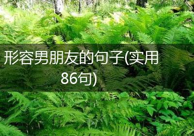 形容男朋友的句子(实用86句)