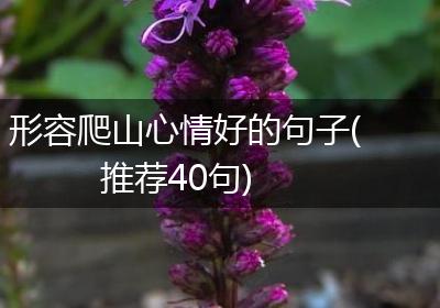 形容爬山心情好的句子(推荐40句)