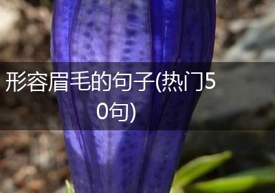 形容眉毛的句子(热门50句)