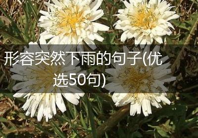 形容突然下雨的句子(优选50句)