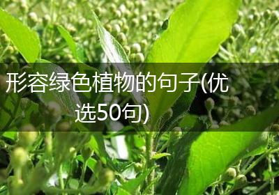 形容绿色植物的句子(优选50句)