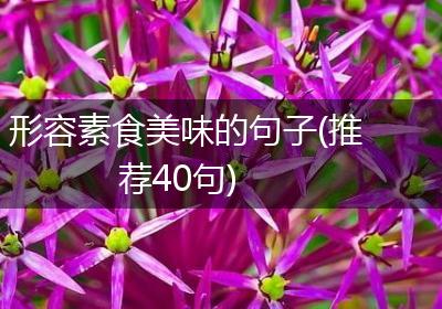 形容素食美味的句子(推荐40句)