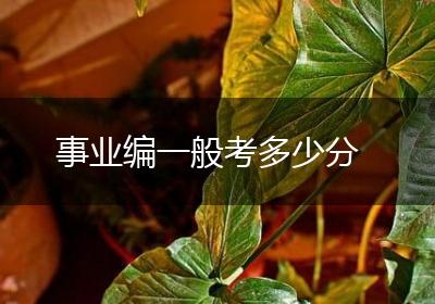 事业编一般考多少分