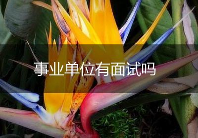 事业单位有面试吗