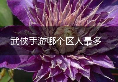 武侠手游哪个区人最多