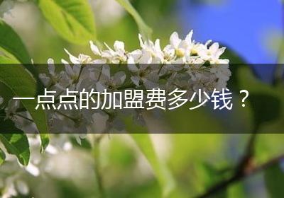 一点点的加盟费多少钱？