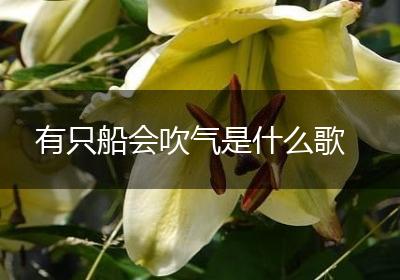 有只船会吹气是什么歌